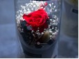 Trandafir Criogenat in Cilindru Luminat